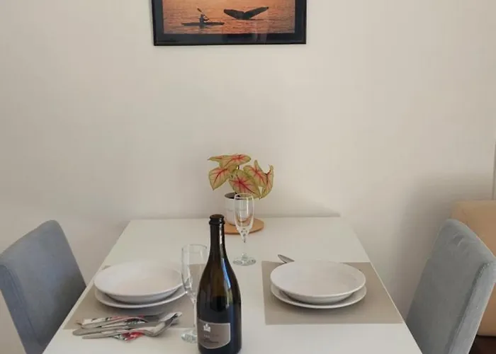 Marta ז'אבוריץ'